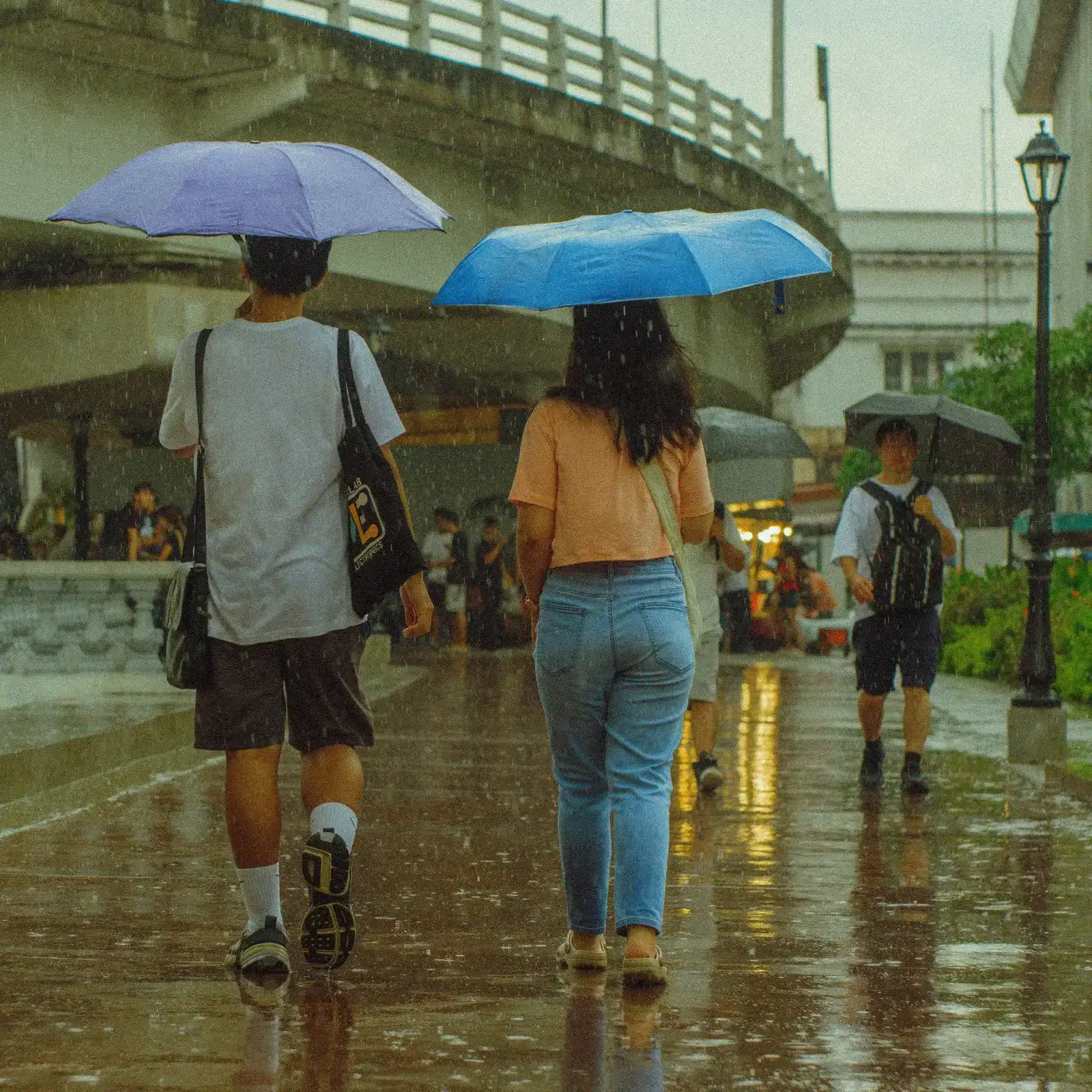 คนเดินถือร่มกันฝนบนถนนเปียกน้ำฝน